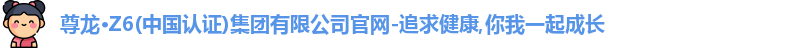 尊龙·Z6